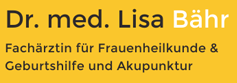 Dr Lisa Bähr - Giefing web | media