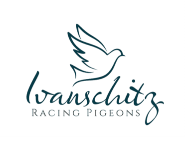 Ivanschitz Racing Pigeons - Giefing web | media