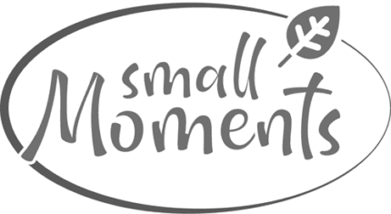 Small Moments - Giefing web | media